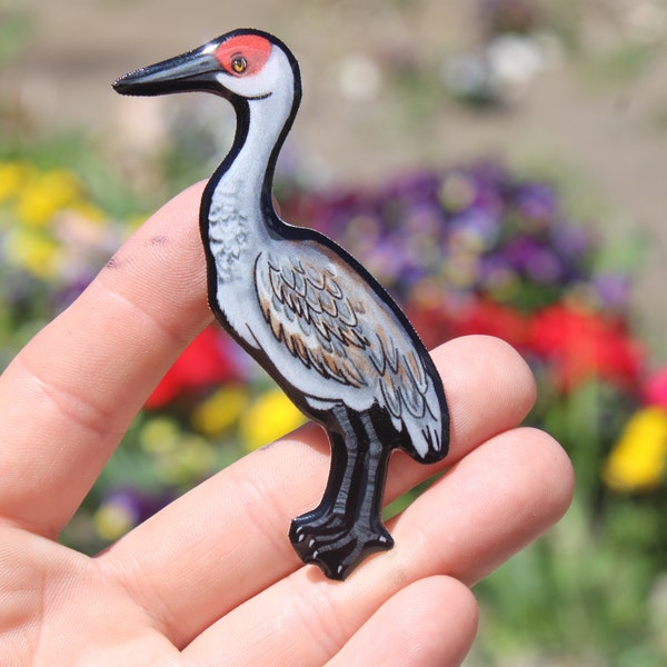 Sand hill Crane Magnet: Gift for crane lovers, vet techs, veterinarians, zookeeper's cute animal magnets for locker or fridge