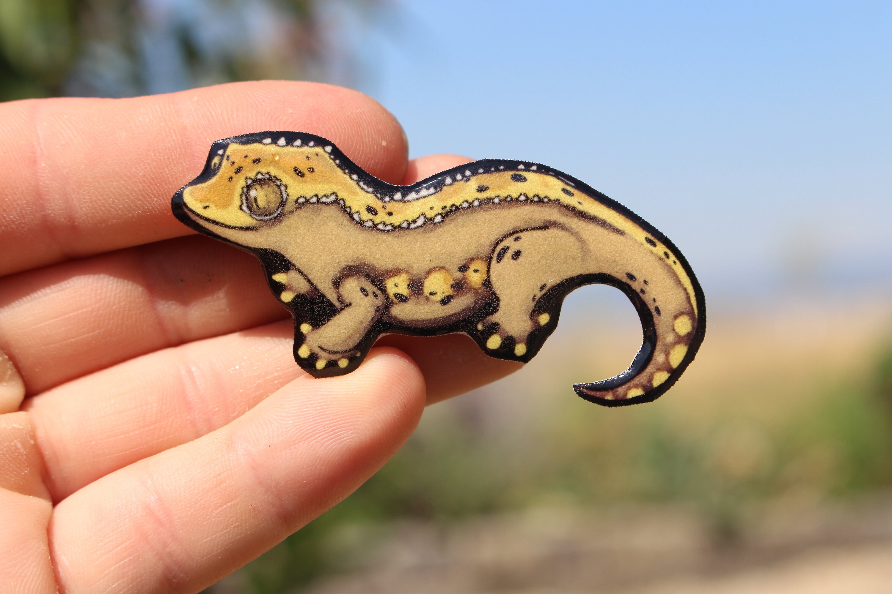 gecko magnet
