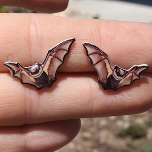 Hoary Bat Earrings : Stainless steel posts for sensitive ears Great gift for Bat lovers Cute animal earring studs
