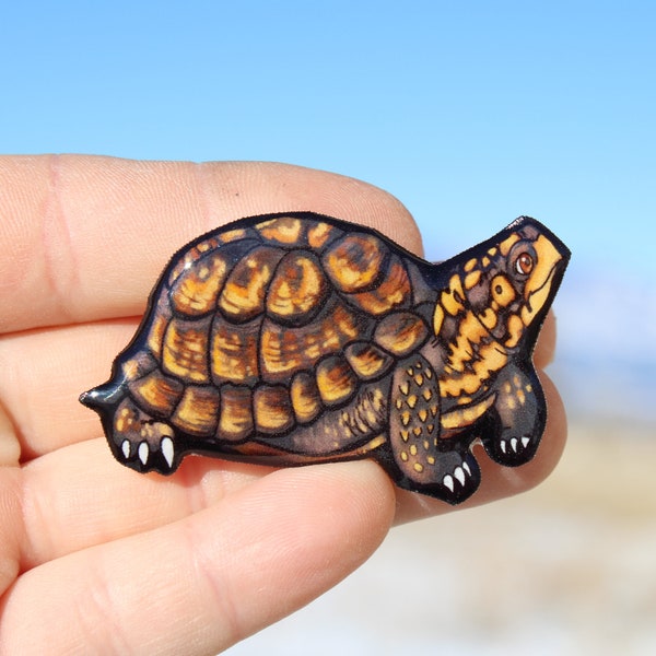 Box Turtle Magnet: Gift for turtle lovers, vet techs, veterinarians, zookeepers, teachers cute animal magnets for locker or fridge