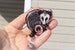 Opossum Possum Badge Reel ID holder: Gift for opossum lovers nurses, vet techs, HCA CNA, veterinarians cute animal badge reels 