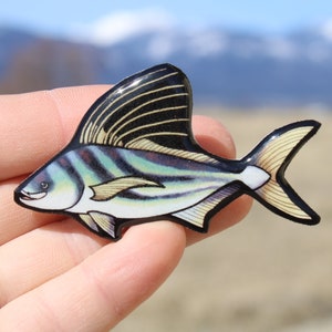 Largemouth Bass Fishing Fish - Magnet - Car Fridge Locker - Select Size :  : Home