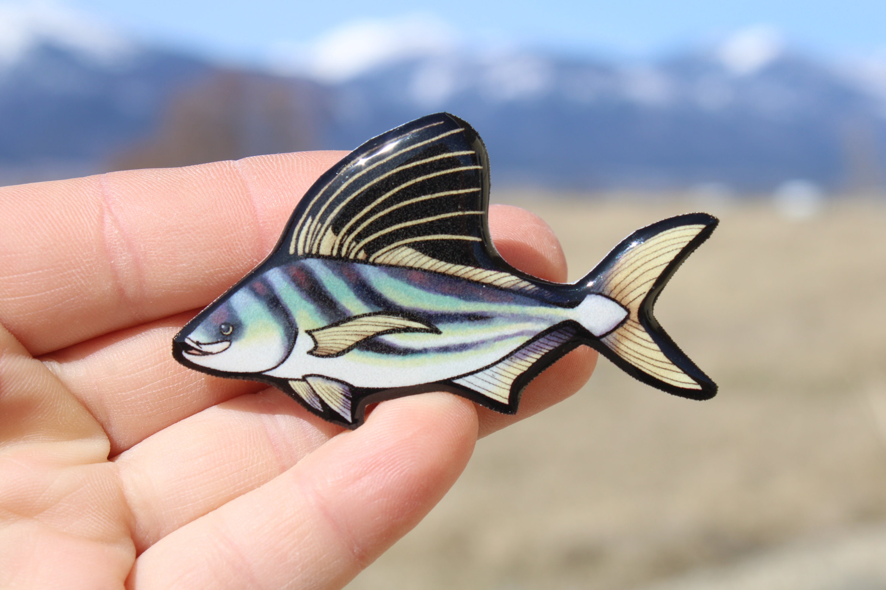 Rooster Fish Magnet: Gift for Fishermen, Vet Techs, Veterinarians