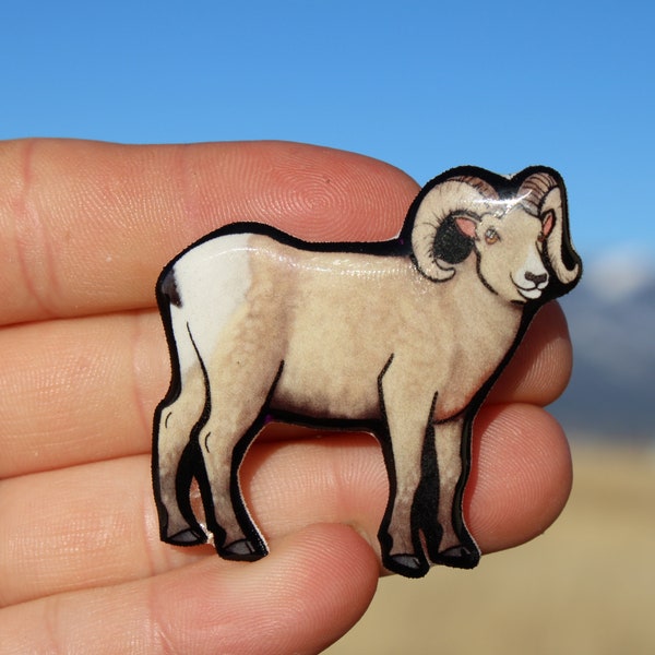 Bighorn Sheep Magnet: Gift for sheep lovers, vet techs, hunters, veterinarians and zookeepers cute animal magnets for locker or fridge