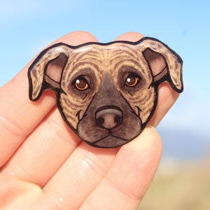 Pitbull Magnet: Gift for pit bull lovers, teachers, vet techs, veterinarians, dog loss memorial cute animal magnets for locker or fridge