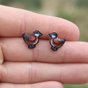 Ruddy Duck Stud Earrings: Gift for Bird animal lovers, vet techs, veterinarians, zookeeper cute earrings with Stainless Steel Posts