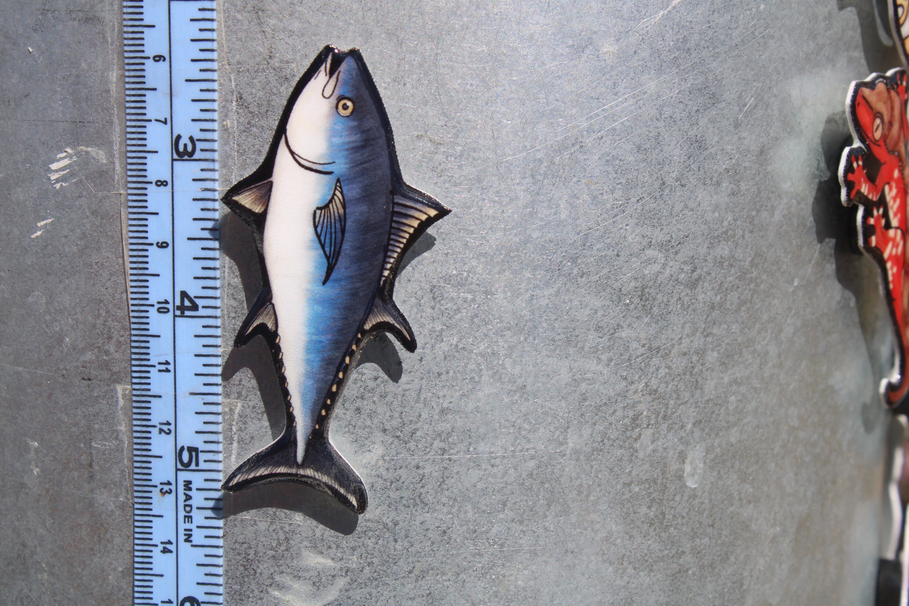 Bluefin Tuna Magnet: Gift for Fish Lovers, Vet Techs, Veterinarians,  Zookeepers Cute Animal Magnets for Locker or Fridge 