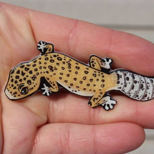 gecko magnet