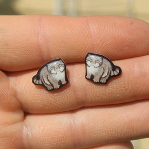 Pallas Cat Stud Earrings: Gift for cat animal lovers, vet techs, veterinarians, zookeeper's cute earrings with Stainless Steel Posts