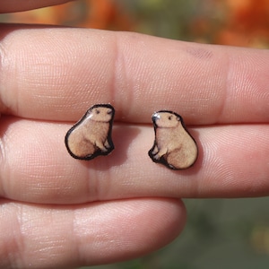 Capybara Stud Earrings: Gift for animal lovers, vet techs, veterinarians, zookeeper's cute earrings with Stainless Steel Posts