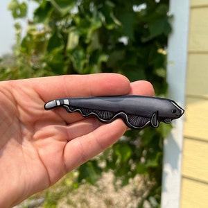 Black Ghost Knife Fish Magnet: Gift for fish lovers, scuba divers, vet techs, zookeeper&#39;s cute animal magnets for locker or fridge
