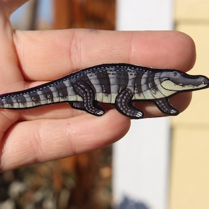 Alligator Magnet: Gift for lizard lover, vet tech, veterinarian, zookeeper, teacher cute animal magnets for locker or fridge