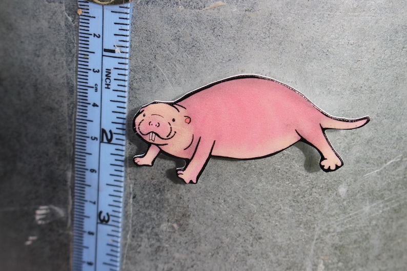 Naked Mole Rat Magnet: Gift for Rat lovers or Rat loss memorial Cute rat art animal magnets for locker or fridge image 2