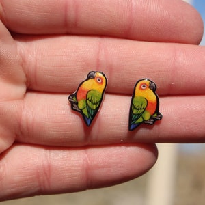 Jenday Conure stud Earrings : Gift for bird lover, vet techs, veterinarian, zookeeper cute animal parrot earrings with Stainless Steel Posts