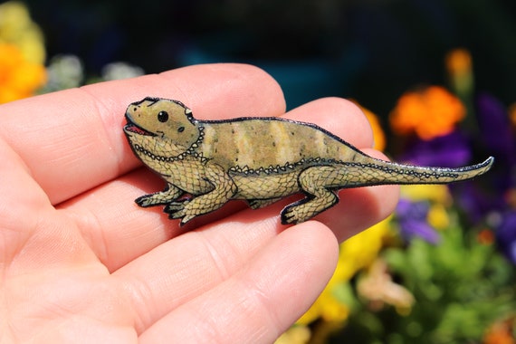 Bearded Dragon Magnet for Locker or Fridge: Great Gift for Lizard Lovers Bearded  Dragon Loss Memorial 