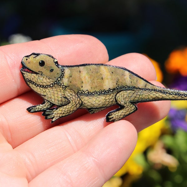 Bearded Dragon magnet for  locker or fridge: Great gift for lizard lovers bearded dragon loss memorial