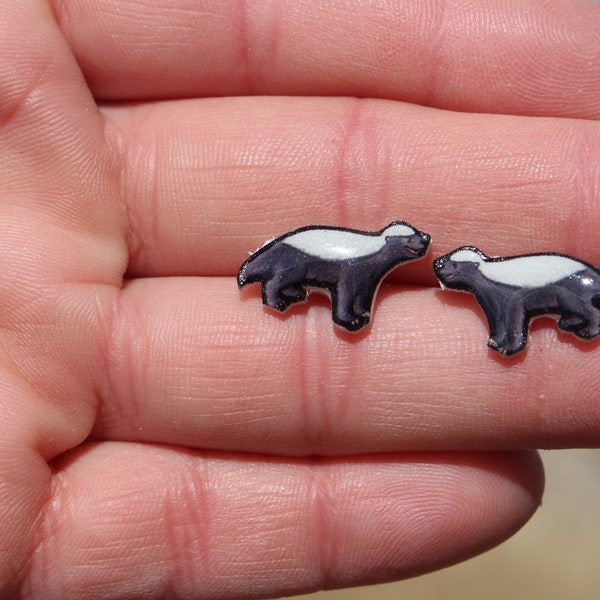 Honey badger Stud Earrings : Gift for ratel lover, vet techs, veterinarian, zookeeper cute animal earrings with Stainless Steel Posts