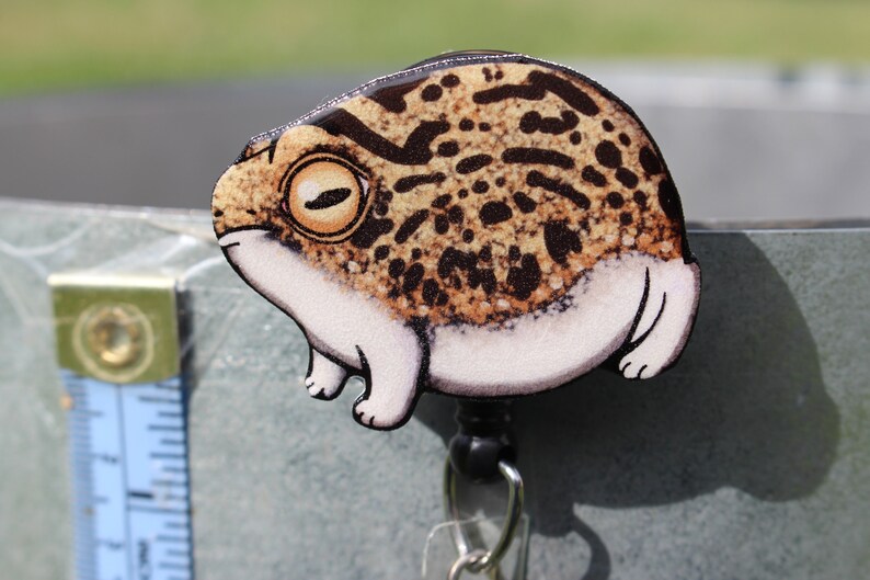 Rain Frog Badge Reel Id holder Retractable ID Badge holder CNA HCA Housekeeping veterinarian Nurse Frog lover gift Animal Badge reels image 5