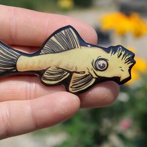 Bristlenose Plecostomus Magnet: Gift for suckerfish lovers, vet techs, veterinarians zookeepers cute fish animal magnet for locker or fridge