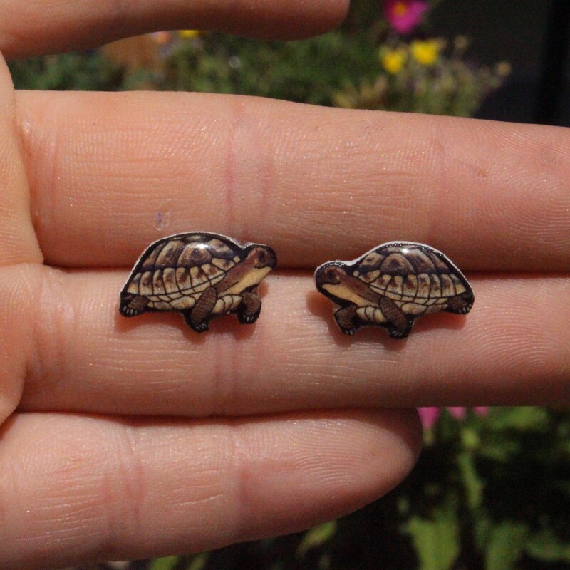 Gold Plated Tortoise Earrings