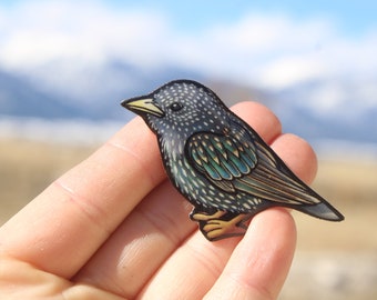 May include: A detailed illustration of a starling bird with black, blue, and green feathers. The bird is depicted in a realistic style with intricate details.