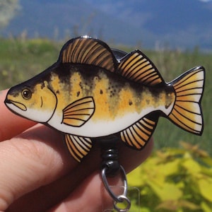 May include: A yellow, black, and white painted fish with a black retractable badge reel attached. The fish is a realistic depiction of a perch.