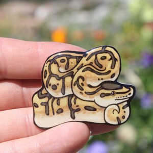 May include: A close-up of a sticker featuring a cartoon illustration of a curled up snake with brown and yellow markings. The snake is curled up in a ball with its head resting on its body.