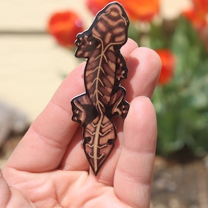 May include: A brown and black wooden pin shaped like a salamander with a detailed design.