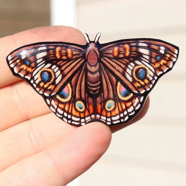 Buckeye Butterfly  magnet: Gift for bug lovers Cute bug Animal magnets for  locker or fridge