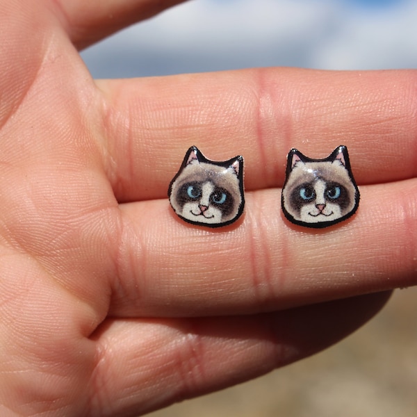 Ragdoll Cat Earrings : Gift for rag doll cat lovers, vet techs, veterinarians, zookeepers cute animal cat earrings with Stainless Steel Post