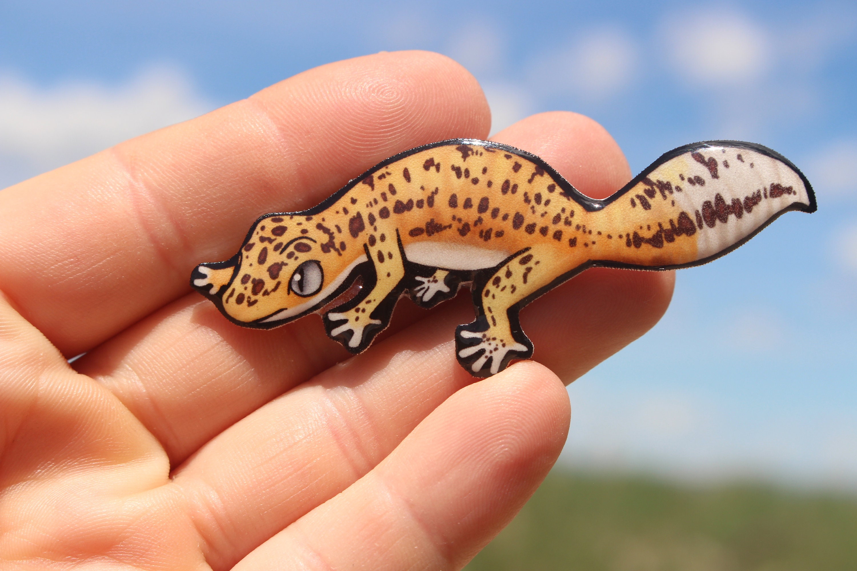 gecko magnet