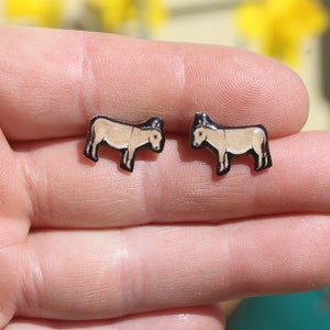 Donkey Mule Stud Earrings: Gift for farm animal lovers, vet techs, veterinarians, zookeeper's cute earrings with Stainless Steel Posts