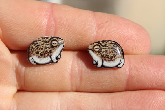 Desert Rain Frog Earrings Gift for Frog Lovers Cute Animal Frog