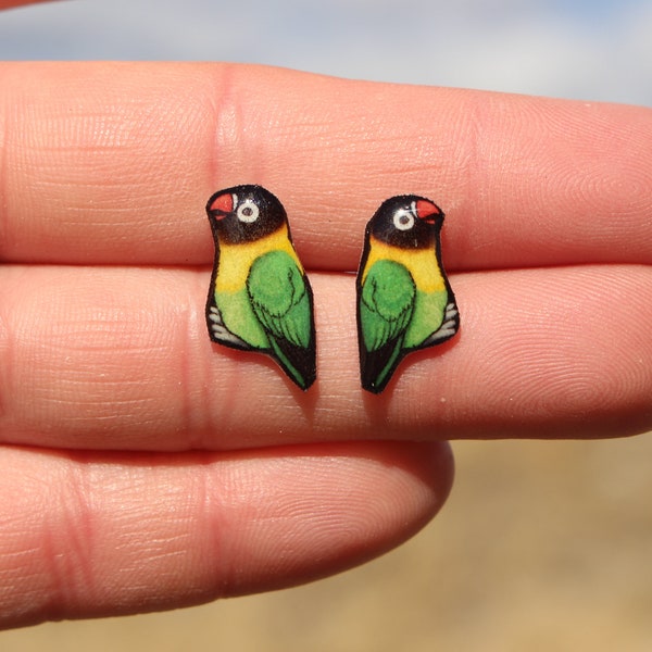 Love Bird Earrings : Gift for lovebird lovers, vet techs, veterinarians, zookeepers cute animal earrings with Stainless Steel Posts