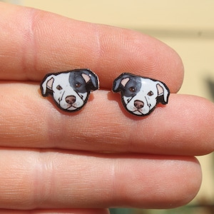 Pit Bull Stud Earrings: Gift for Pitbull dog animal lovers, vet techs, veterinarians, zookeeper's cute earrings with Stainless Steel Posts