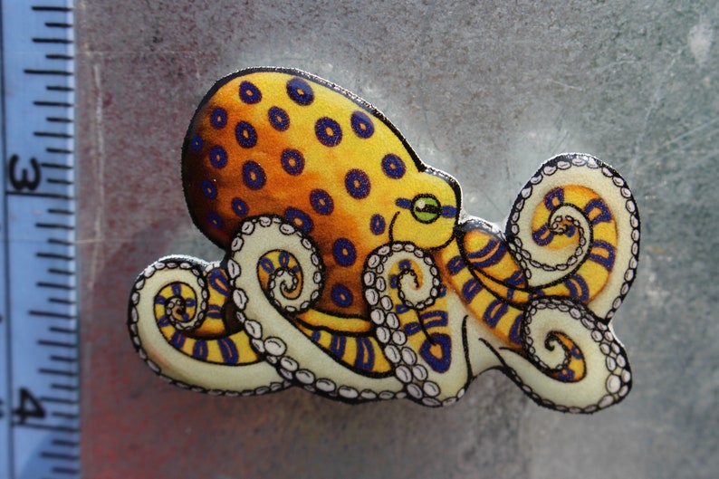 Blue-ringed Octopus Magnet Gift for octopus Lovers Cute ocean animal Magnets for locker or fridge image 4