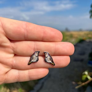 Flicker Bird Stud Earrings: Gift for bird watcher lovers, vet techs, veterinarians, zookeeper's cute earrings with Stainless Steel Posts