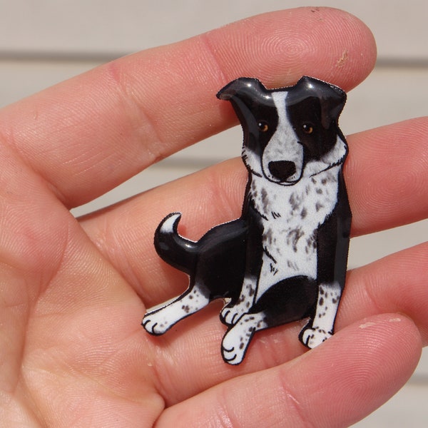 Border Collie Magnet: Gift for collie lovers or border collie loss memorial cute dog animal magnets for locker or fridge