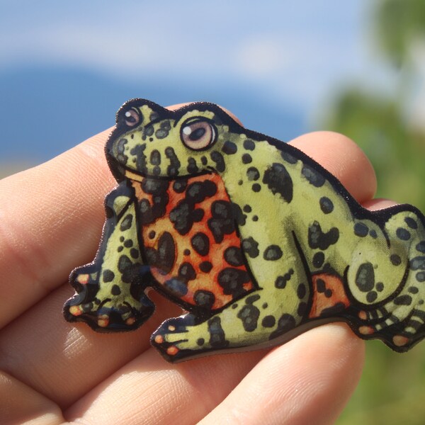 Fire belly Toad Magnet: Gift for frog lovers, vet techs, veterinarians, zookeepers cute animal magnets for locker or fridge