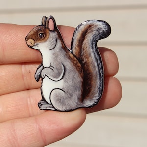 Squirrel Magnet: Gift for squirrel lover or squirrel loss memorial cute animal magnets for locker or fridge