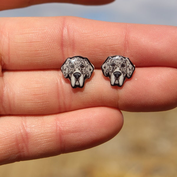 Great Dane Earrings : Gift for Dog lovers, vet techs, veterinarians, zookeepers cute animal dog earrings with Stainless Steel Posts
