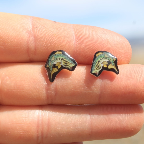 Largemouth Bass Stud Earrings: Gift for fish animal lovers, vet techs, veterinarians, zookeeper's cute earrings with Stainless Steel Posts