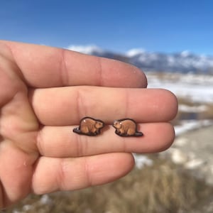 Beaver Stud Earrings: Gift for animal lovers, vet techs, veterinarians, zookeeper's cute earrings with Stainless Steel Posts
