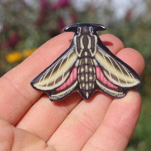 Hawk Moth Magnet: gift for Humming bird Moth lover, zookeepers, gardeners, vet techs, zookeeper cute animal bug magnet for fridge or locker