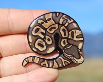Ball Python Magnet Gift for snake Lover, vet tech, veterinarian, zookeeper cute animal magnets for locker or fridge