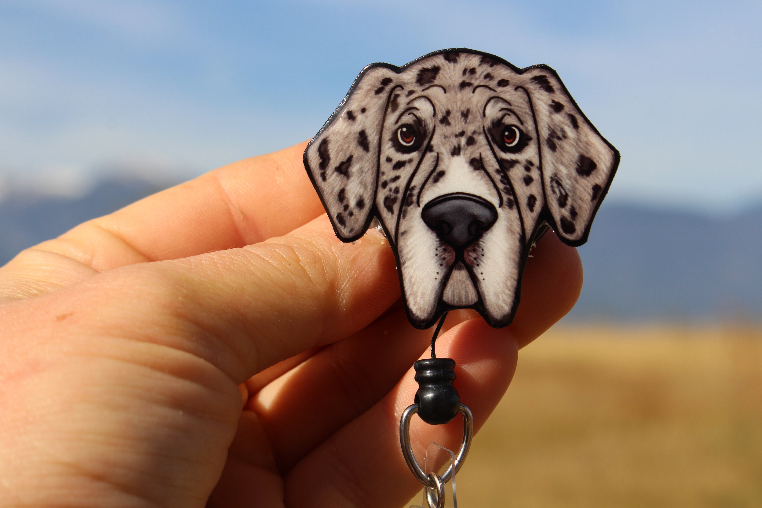 orange merle great dane