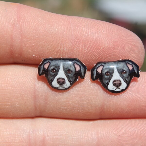 Pit Bull Stud Earrings: Gift for Pitbull dog animal lovers, vet techs, veterinarians, zookeeper's cute earrings with Stainless Steel Posts