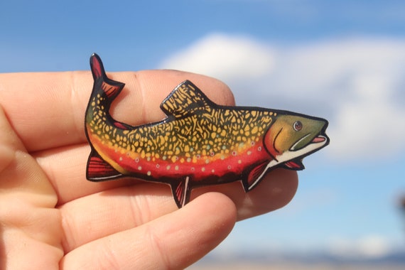 Brook Trout Magnet: Gift for Game Fish Lover, Vet Tech