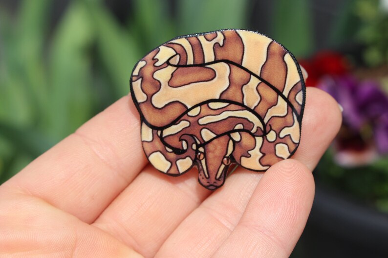 Ball Python Magnet Gift for Snake Lover for Locker or Fridge - Etsy