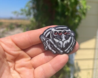 May include: A black and white jumping spider pin with three large, red eyes. The pin is made of fabric and has a detailed design.